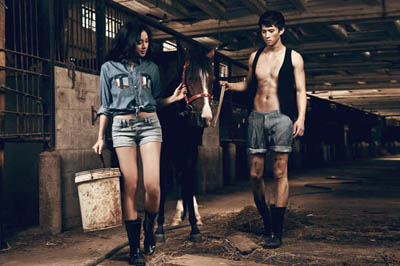 Ng&ocirc; Thanh V&acirc;n , H&agrave; Việt Dũng